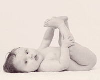 Baby Wren